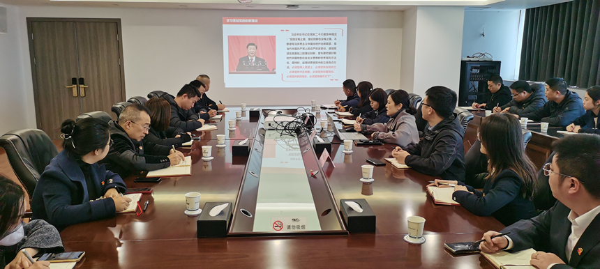 集團(tuán)黨委委員、副總經(jīng)理賀維維同志講授專題黨課